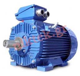 Electric Motor - Y2 - 0.18 kW - 0.25 HP - 380V/50Hz - 2Poles - Β3